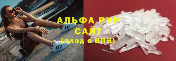 ПСИЛОЦИБИНОВЫЕ ГРИБЫ Болхов