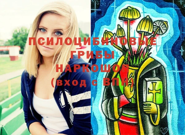 гашиш Няндома