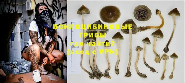 МДПВ Нязепетровск